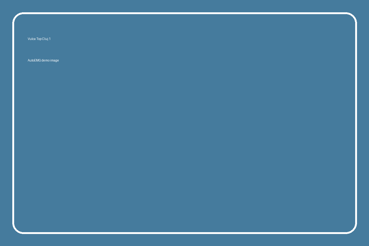 Zona 1 - Vulcanizări